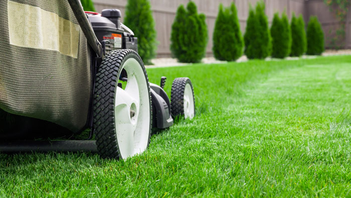 Lawn Care Queen Creek Az